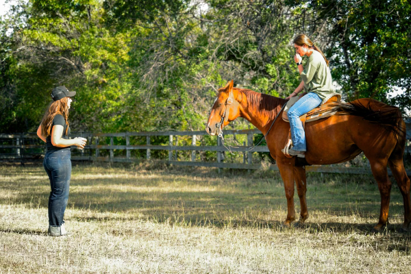 Introductory Riding Lesson