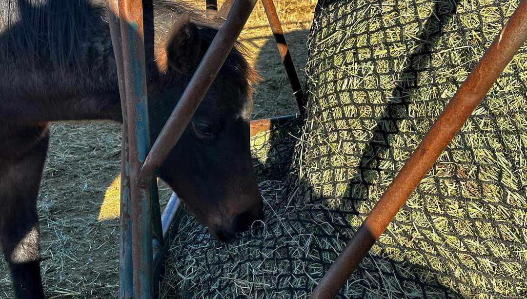 Filets à foin 5X5 pour bale ronde