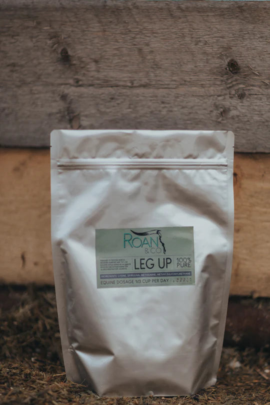 Roan & co - Leg up