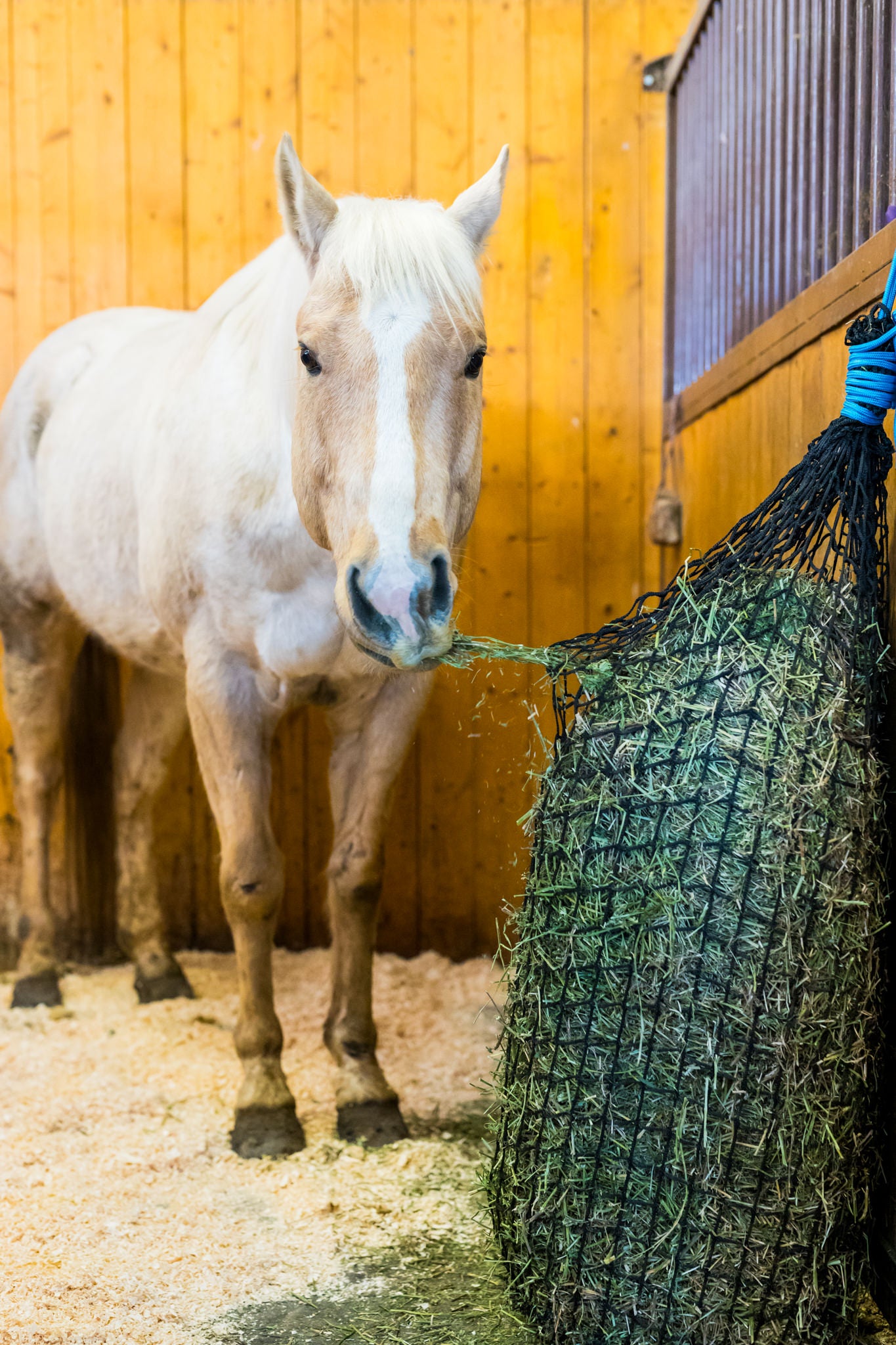 Small square bale hay net
