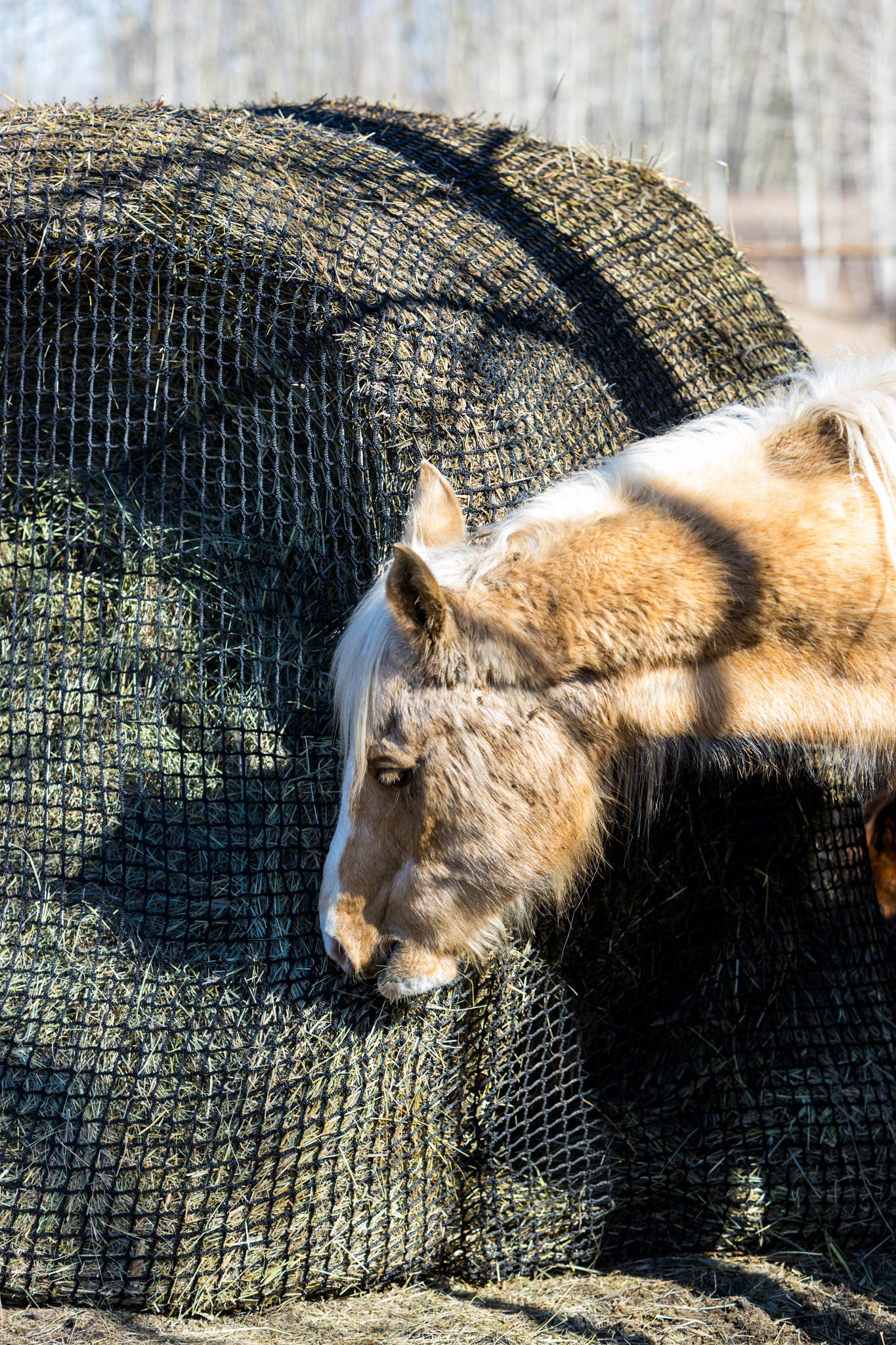 Filets à foin 5X5 pour bale ronde