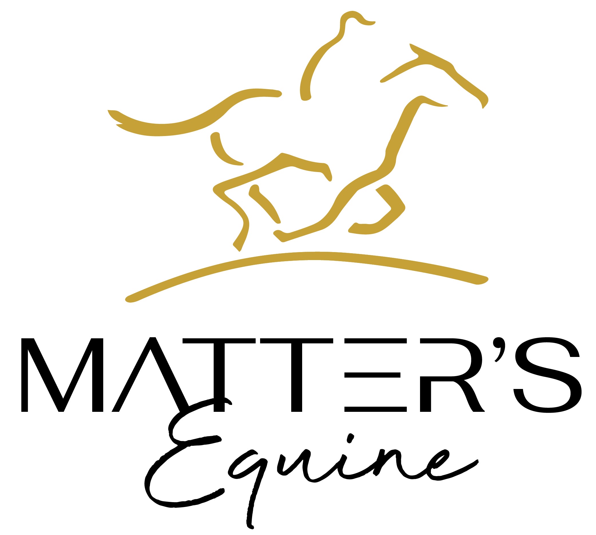Matter's equine