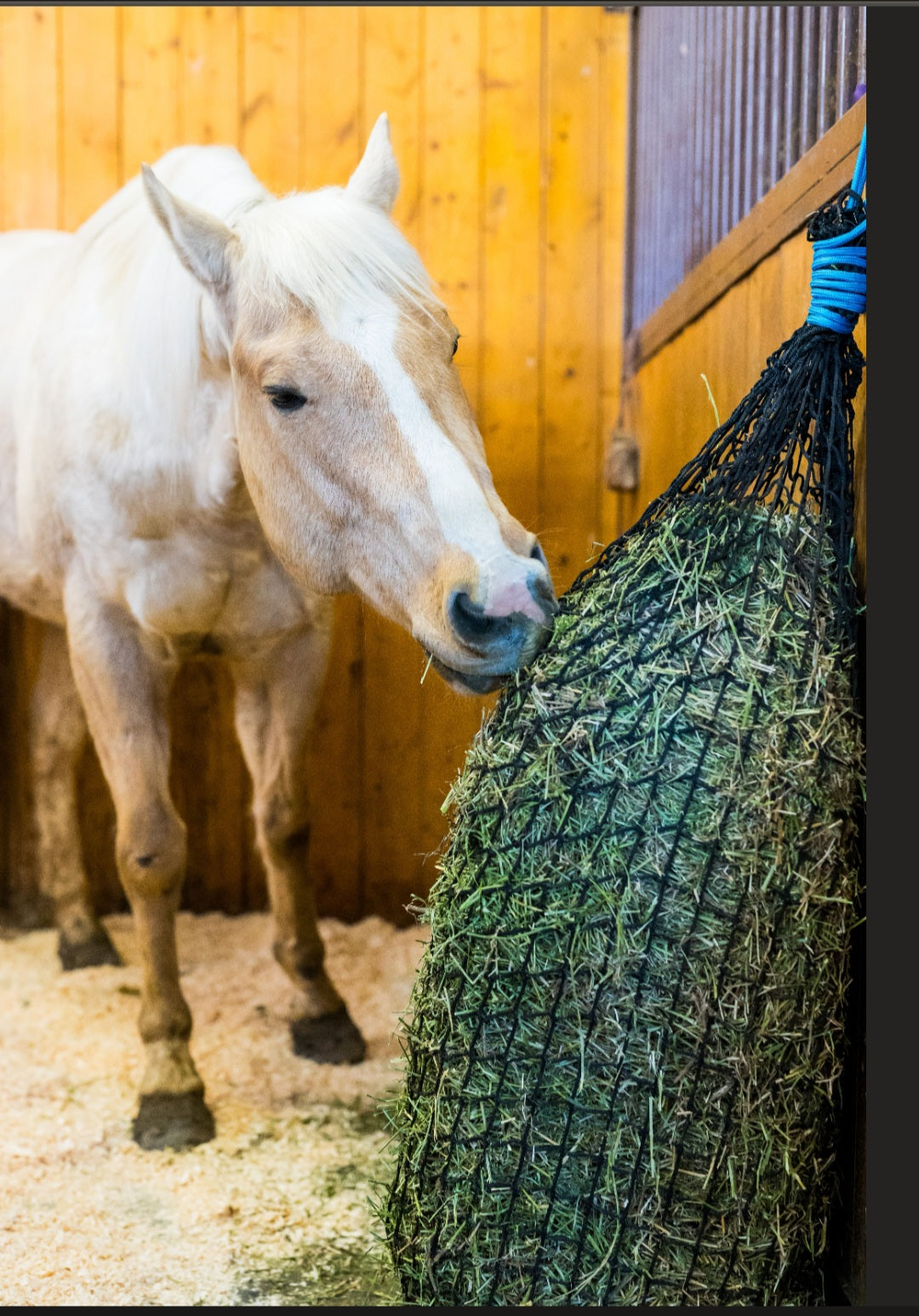 Small square bale hay net