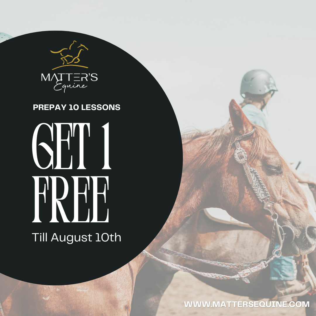 Lesson Package – Buy 10, Get 1 Free!