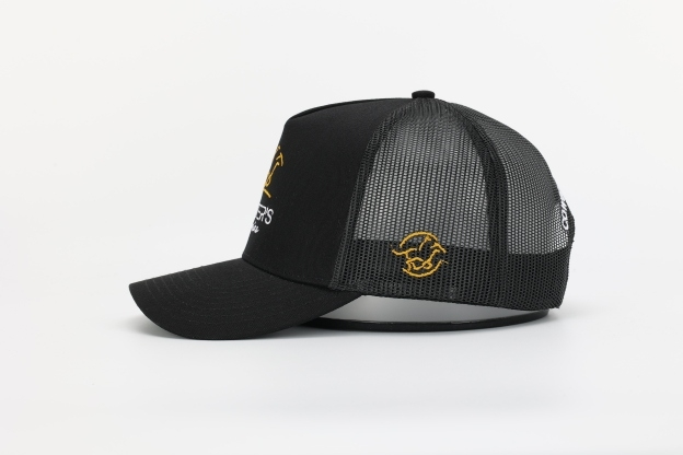 Matter's equine cap