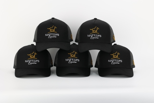 Matter's equine cap