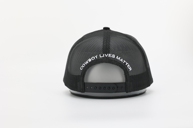 Matter's equine cap