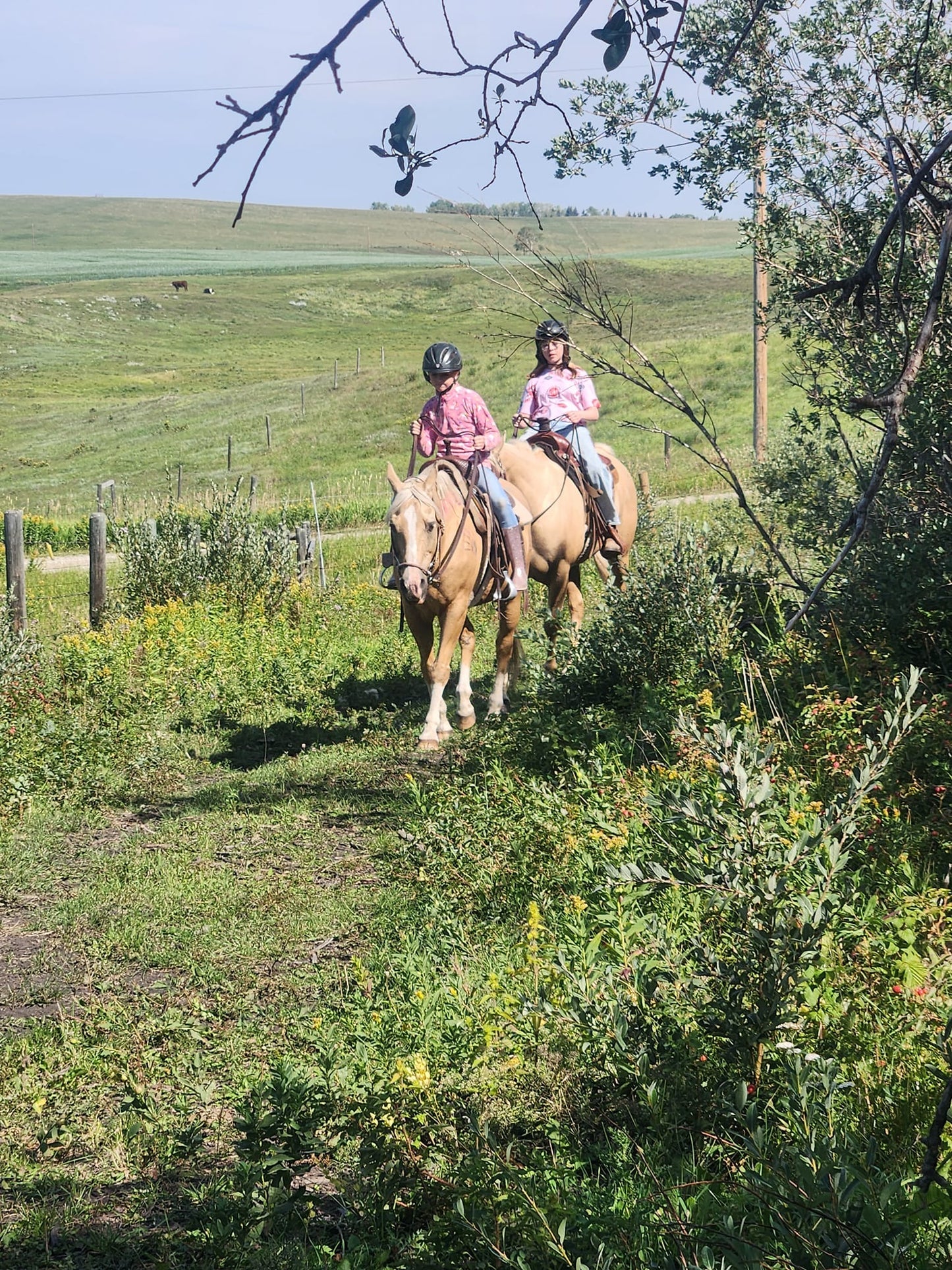 Summer Riding Camp - August 4 to 7, 2026