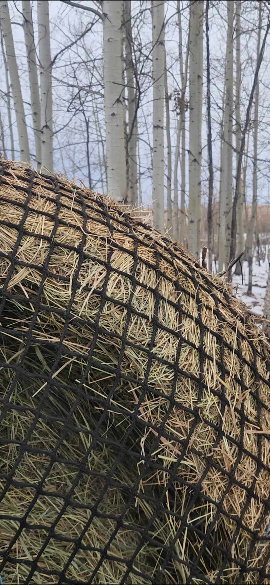 Large round discount bale hay net