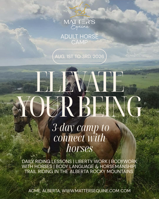 Adult horse camp - Aug 1st to 3rd 2026