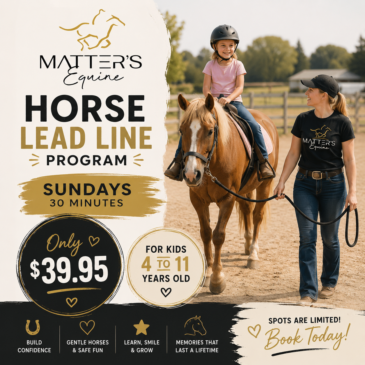 Horse lead line program