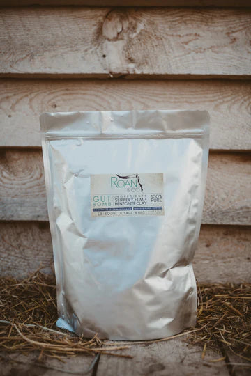 Gut Bomb - Roan&co