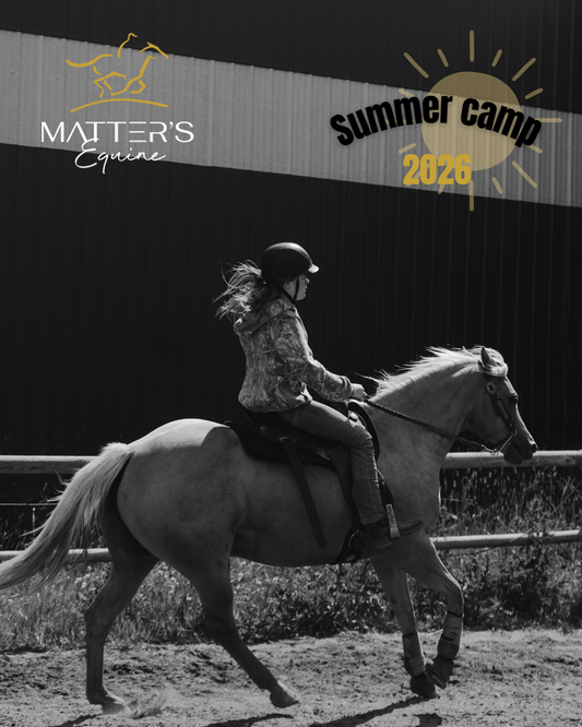 Summer Riding Camp - August 4 to 7, 2026