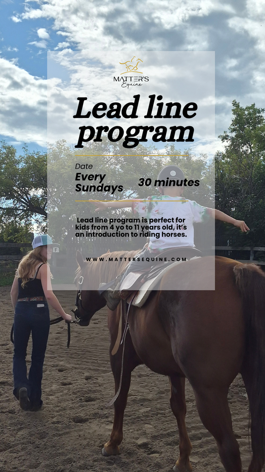 Horse lead line program