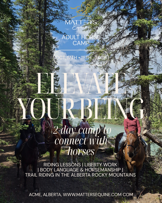 Adult horse camp - Oct 17th & 18th