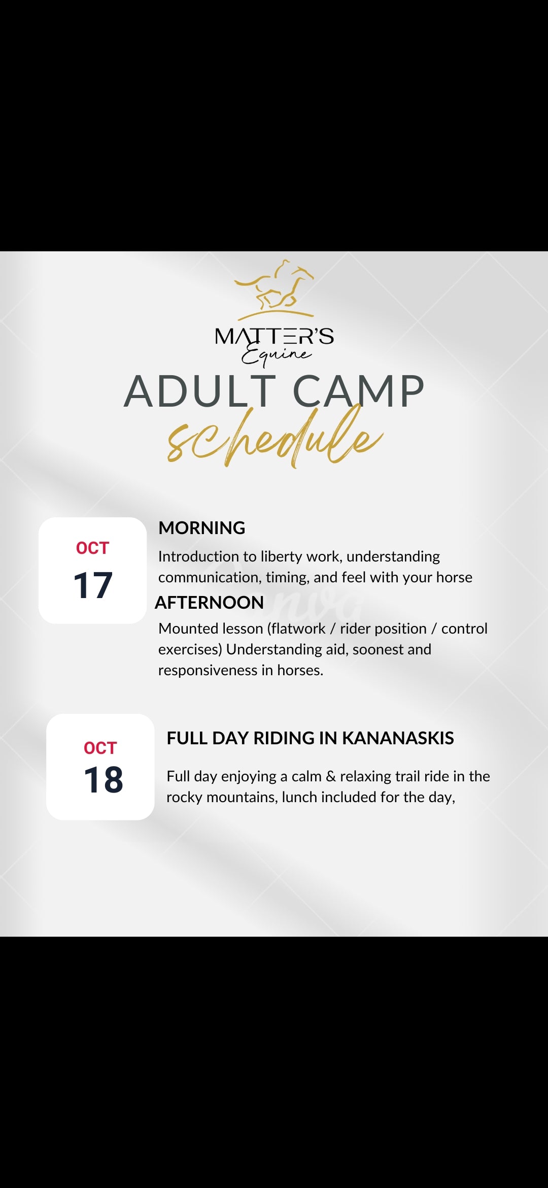 Adult horse camp - Elevate your being