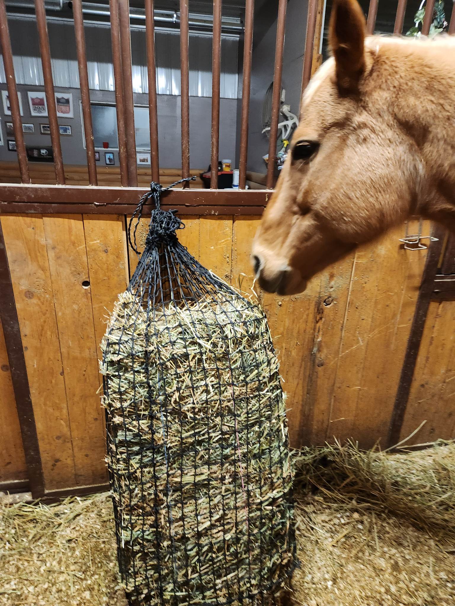 Pony hotsell hay nets